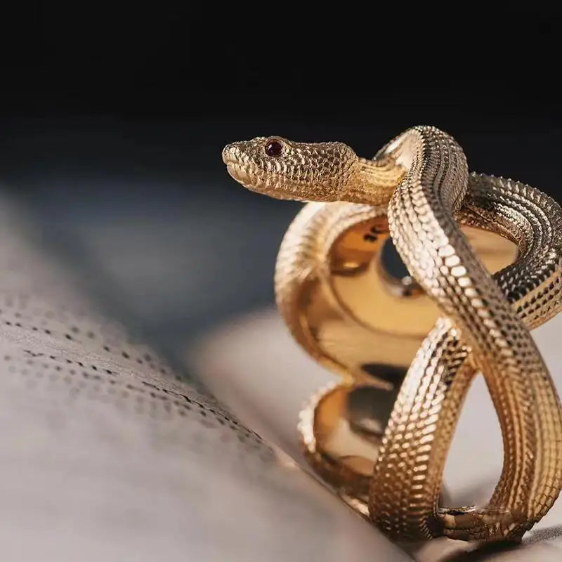 Python Ring